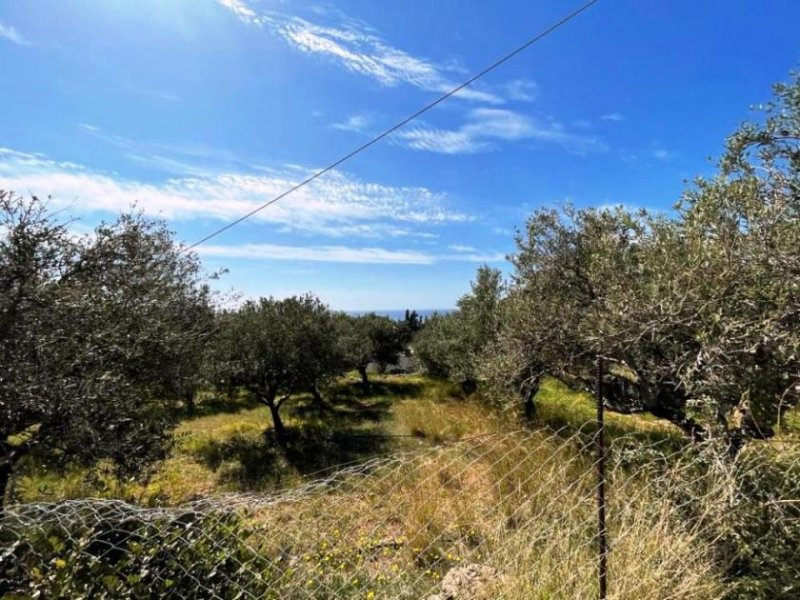 Makry Gialos Südostkreta, Makry Gialos: Grundstück mit Meerblick zu verkaufen Grundstück kaufen